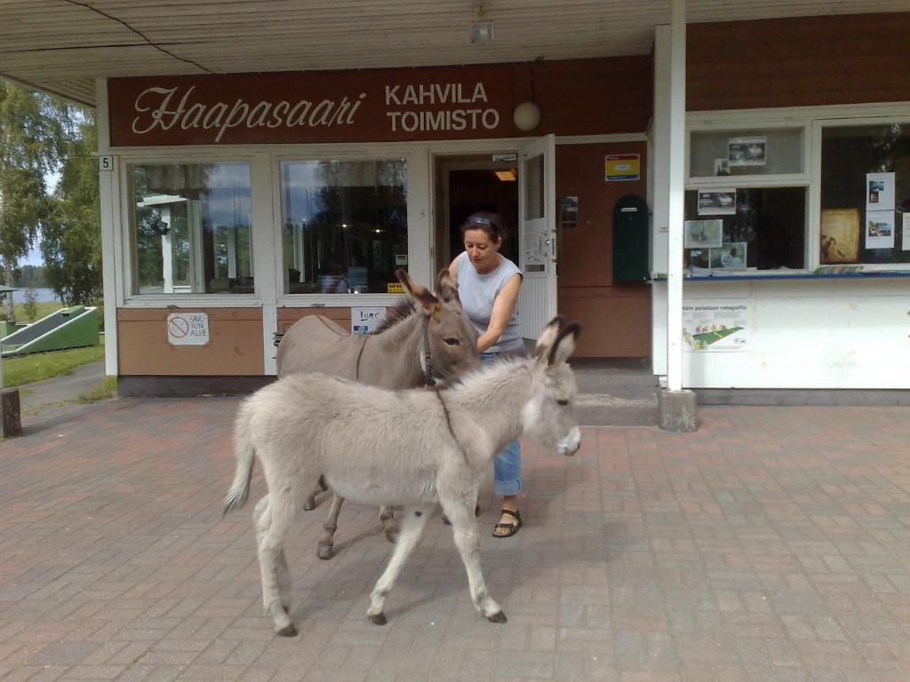 Haapasaaren Lomakyla Hotel Ruovesi Bagian luar foto